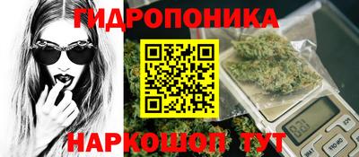 тгк Кандалакша