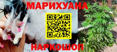 шишки Кингисепп